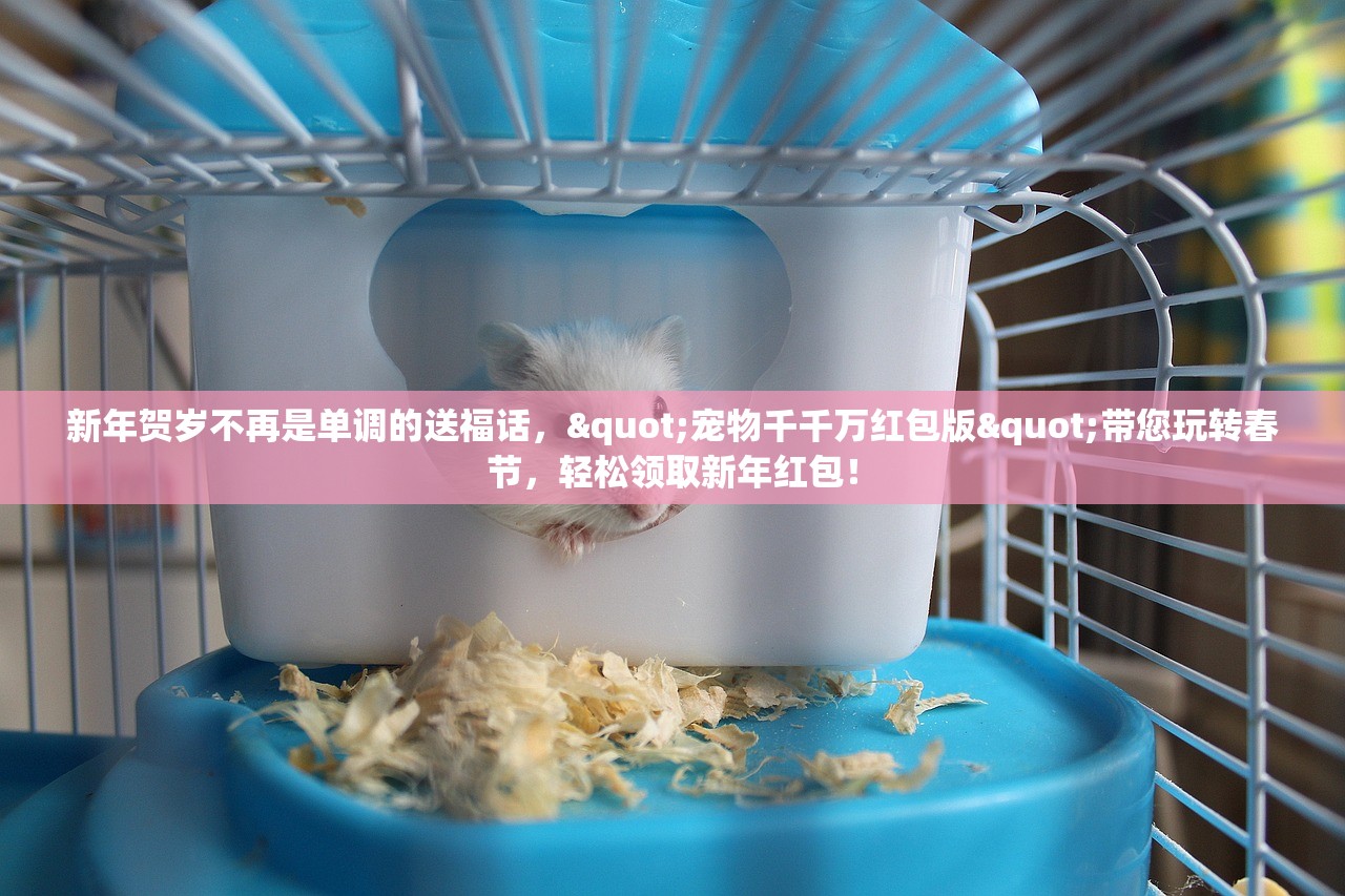 (水晶传说好玩吗值得玩吗)水晶传说，游戏魅力深度解析，究竟是否值得一试？