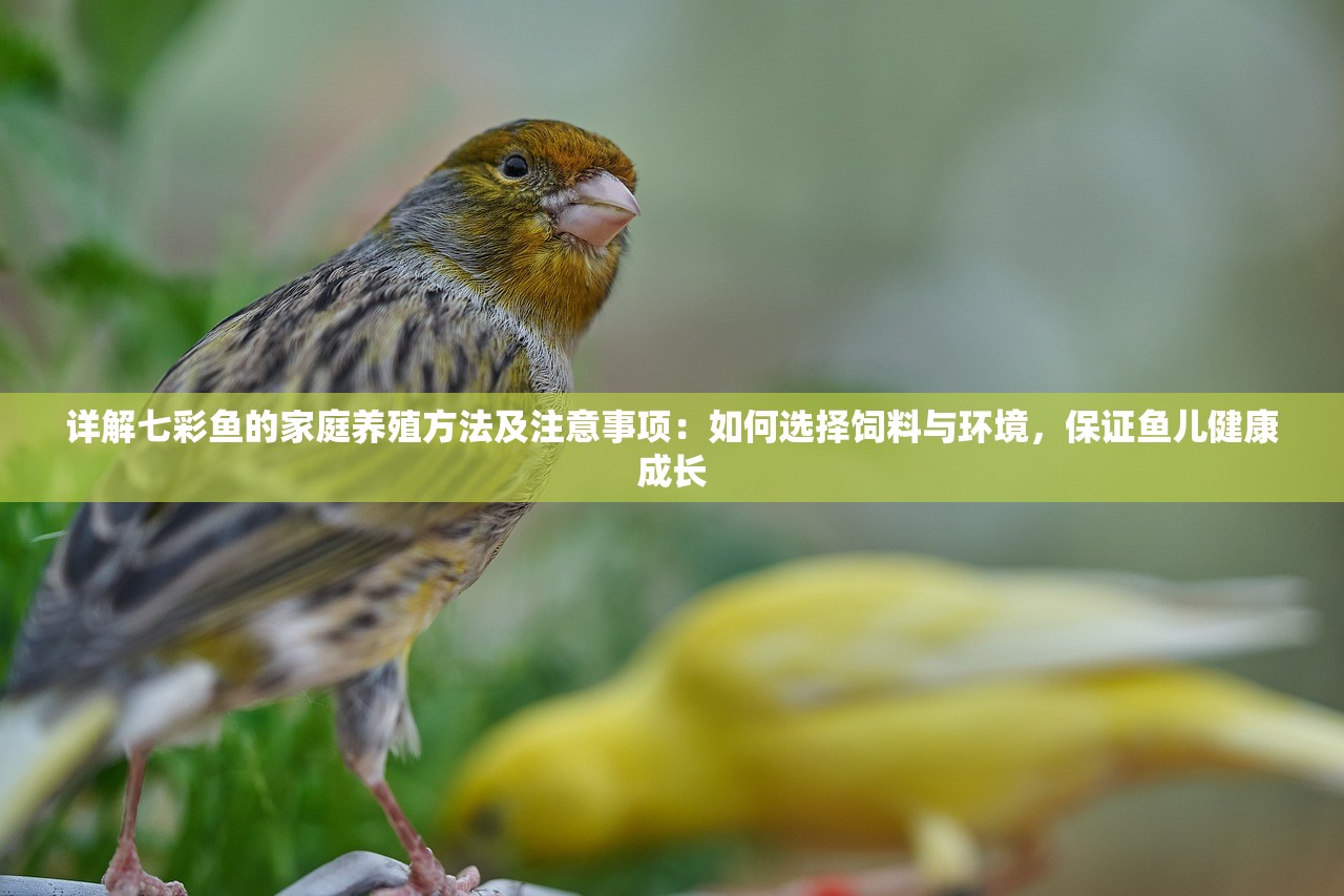 (神皇佛魔鲨都是谁)神皇佛魔鲨，神秘力量的探索与解读