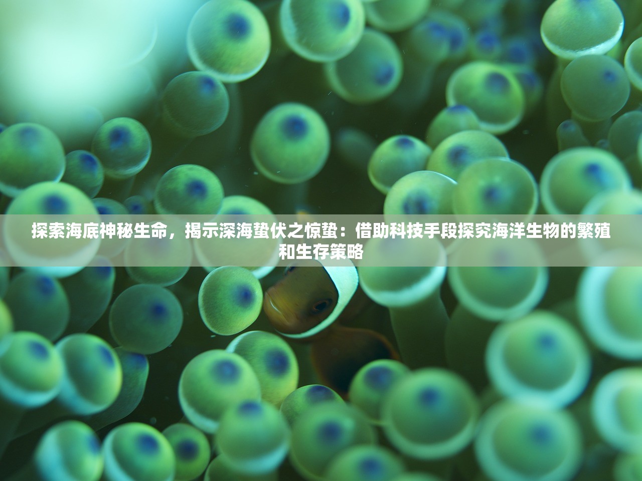 (烽火龙城手游)烽火龙城180传奇，热血传奇的新篇章