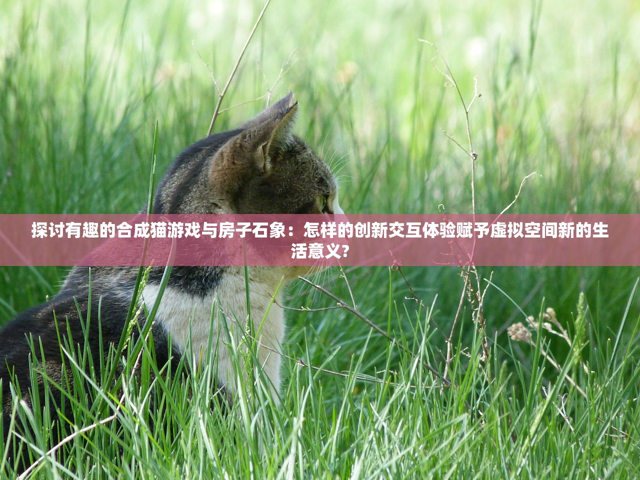 (暗黑屠龙是不是全部关服了呢)暗黑屠龙是否全部关服？游戏运营现状与未来展望
