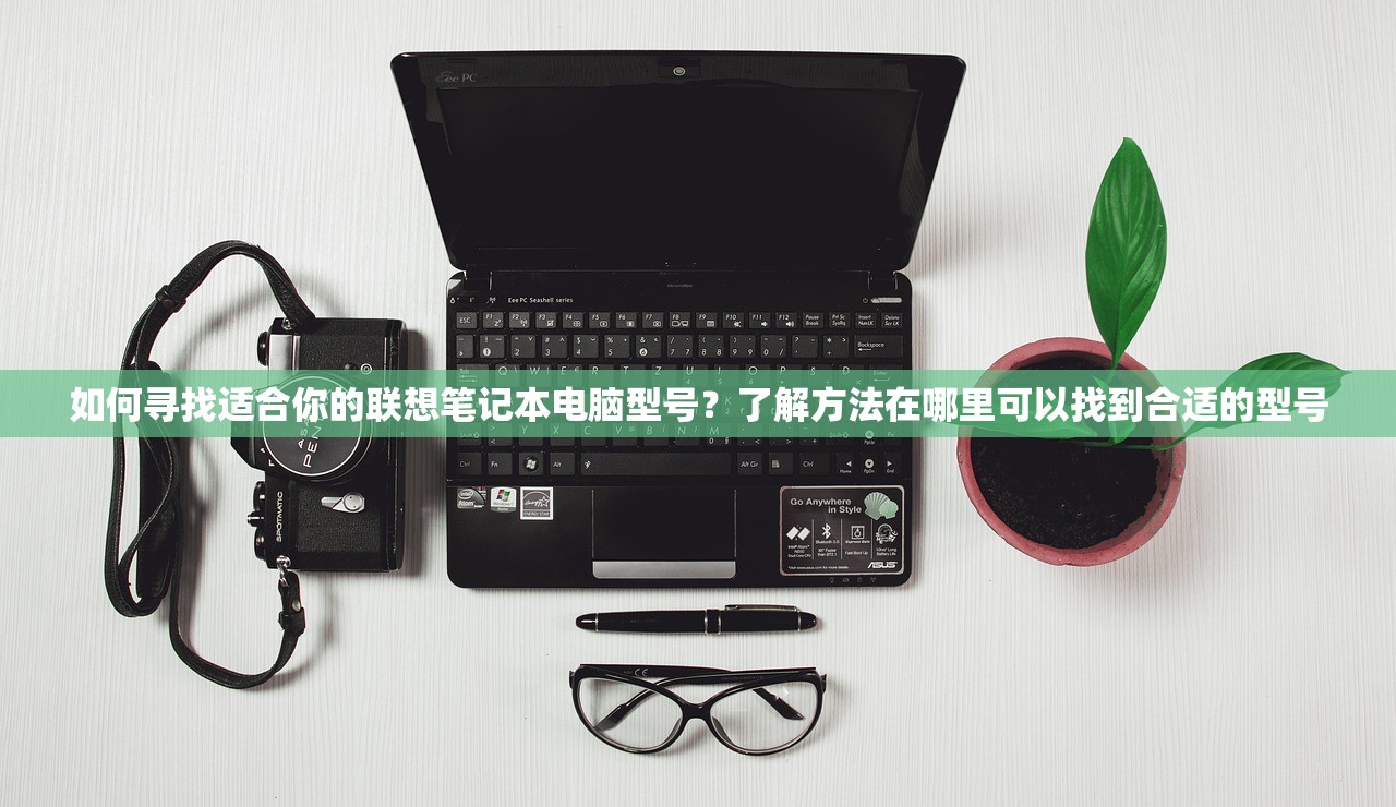 (校花梦工厂哪套阵容好)校花梦工厂游戏版本解析，哪个版本可以爆衣？