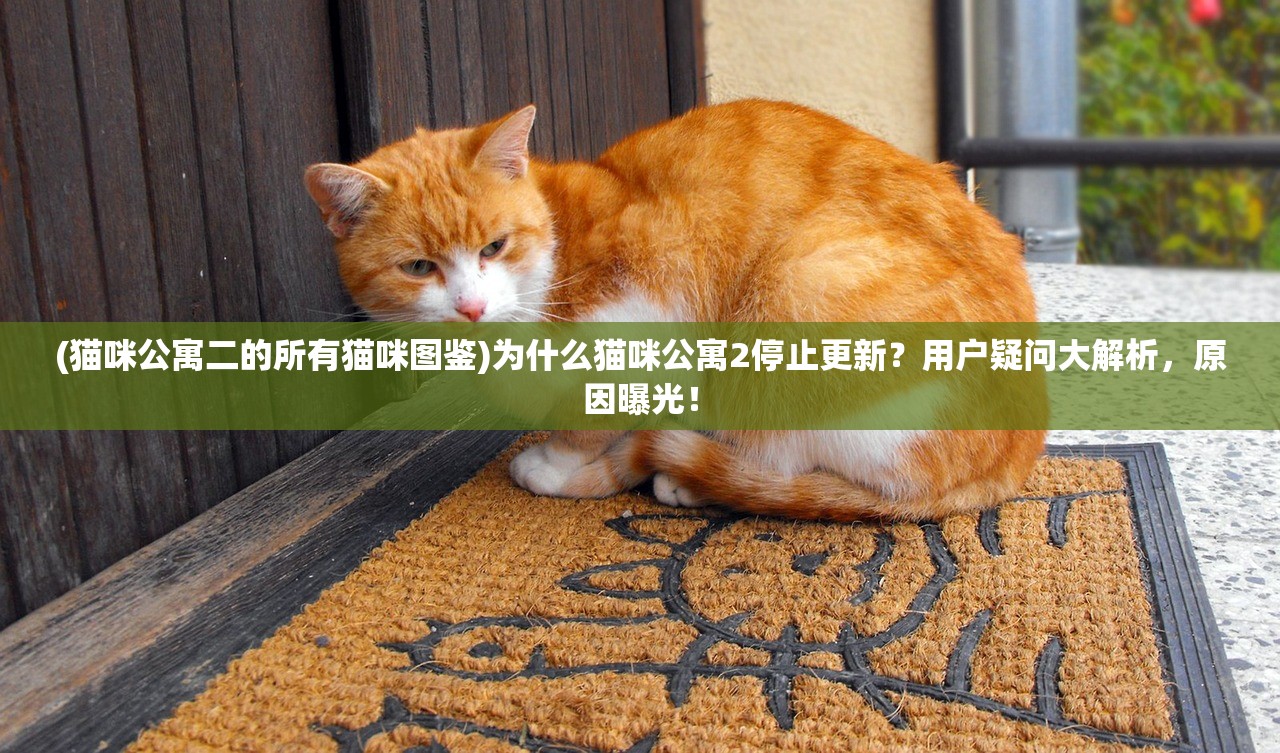 (燎原三国豪杰传邹氏)燎原三国豪杰传，探寻英雄传奇的根源