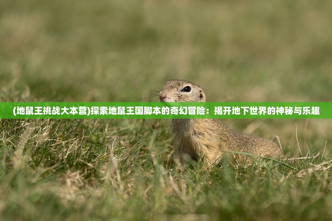 (地藏降魔录下载安装)瓜米游戏地藏降魔录深度解析与探讨