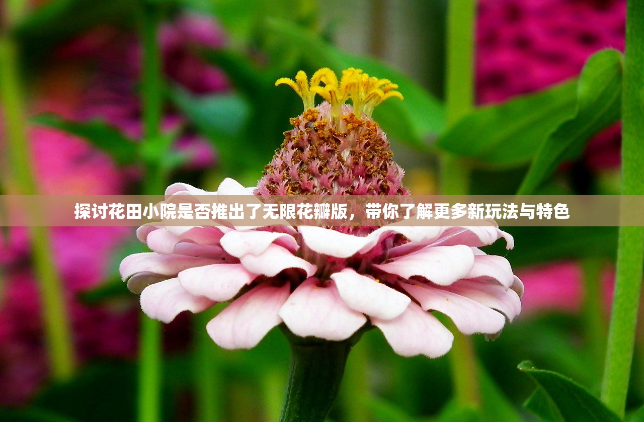 (天竺梦幻保健怎么做)梦幻天竺国记忆顺序，探寻古老文明的神秘之旅