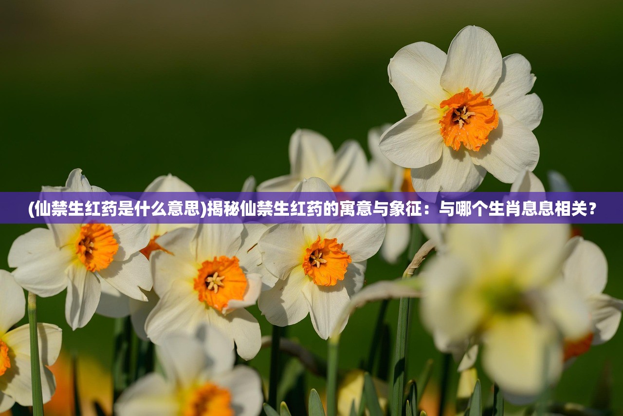 (怪物猎人ol怪物图鉴)怪物猎人OL，深度体验与探索