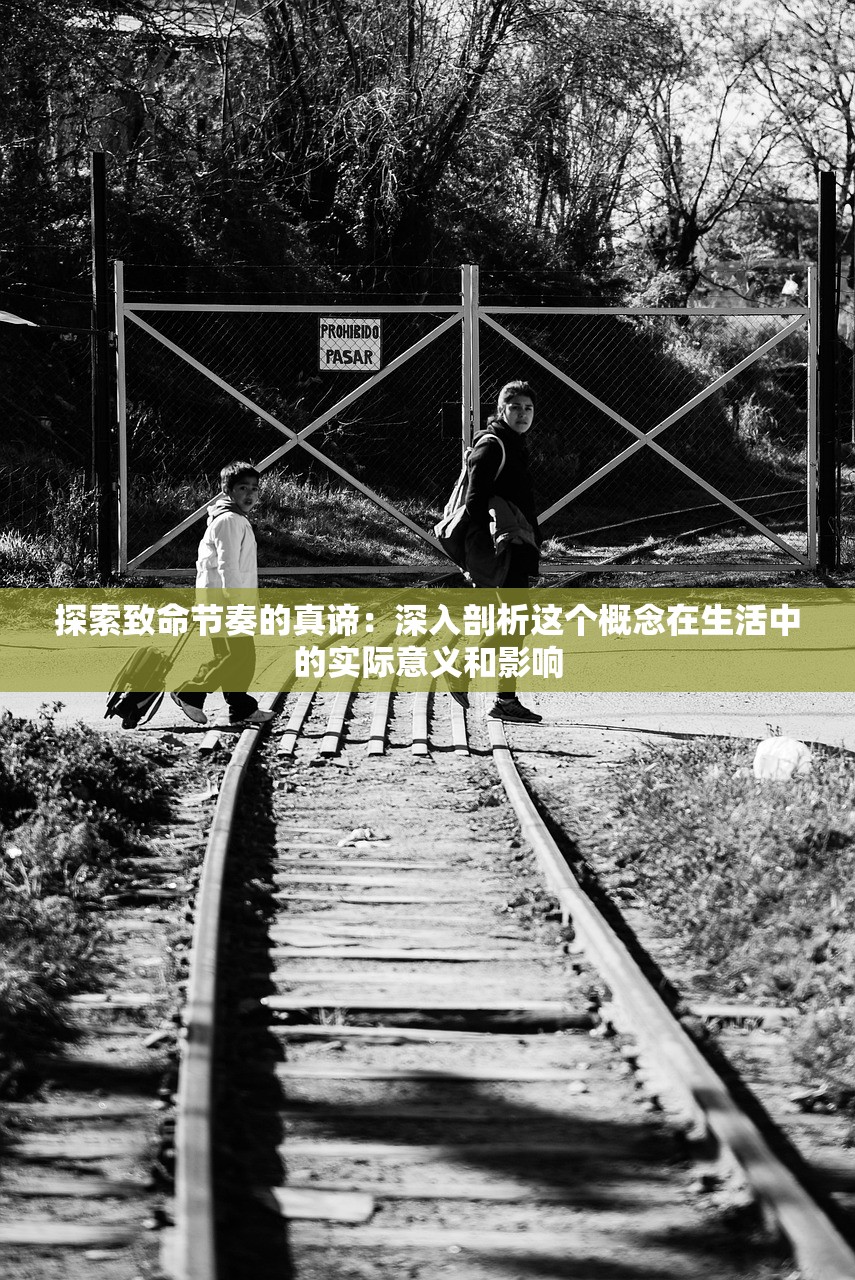 (豆娃表情包)豆娃说法，深度解读与多元视角分析
