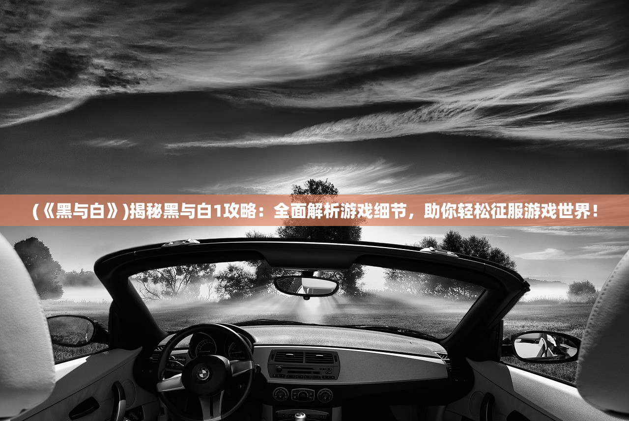 (战舰激斗无限金币黄金铂金下载)战舰激斗，无限金币、黄金与铂金的探索与挑战