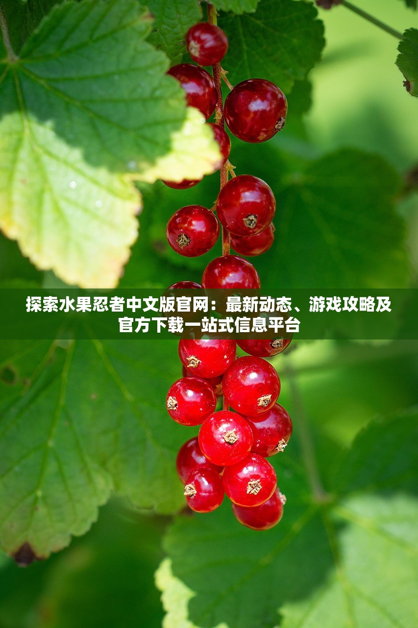 (战舰激斗无限金币黄金铂金下载)战舰激斗，无限金币、黄金与铂金的探索与挑战