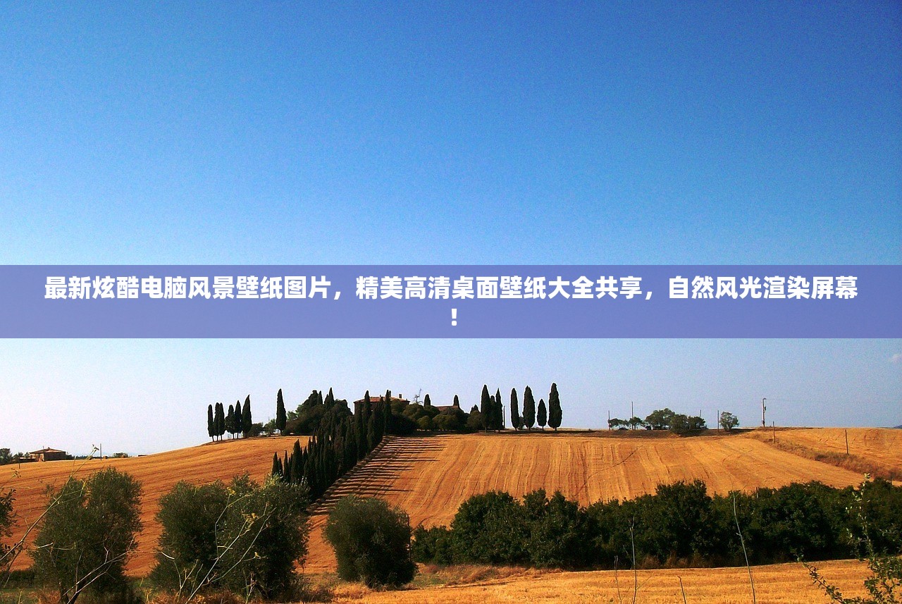 (剑网1归来职业攻略)剑网1归来门派深度解析与特色展望