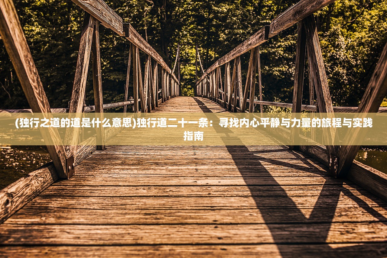 (双星物语2攻略电子书在哪看)双星物语2全面攻略电子书，探索未知的奇幻世界