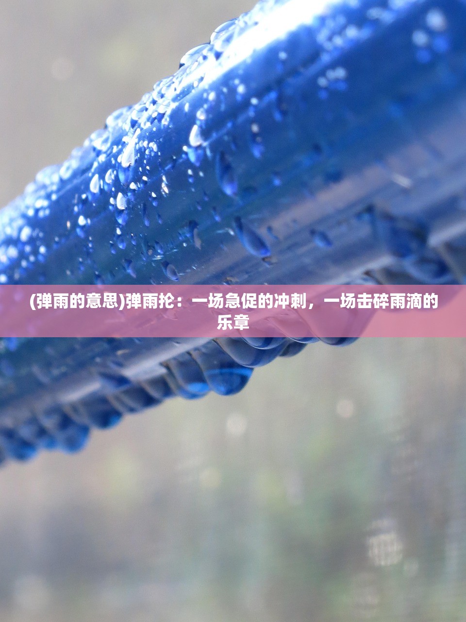 (爷爷奶奶向前冲百度百科)爷爷奶奶向前冲，跨时代的力量与生活的勇气