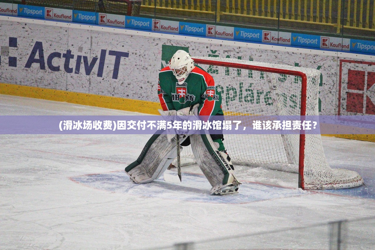 (武术绝招100招视频教学)武术绝招，探寻百招精华，领略千年传承的艺术