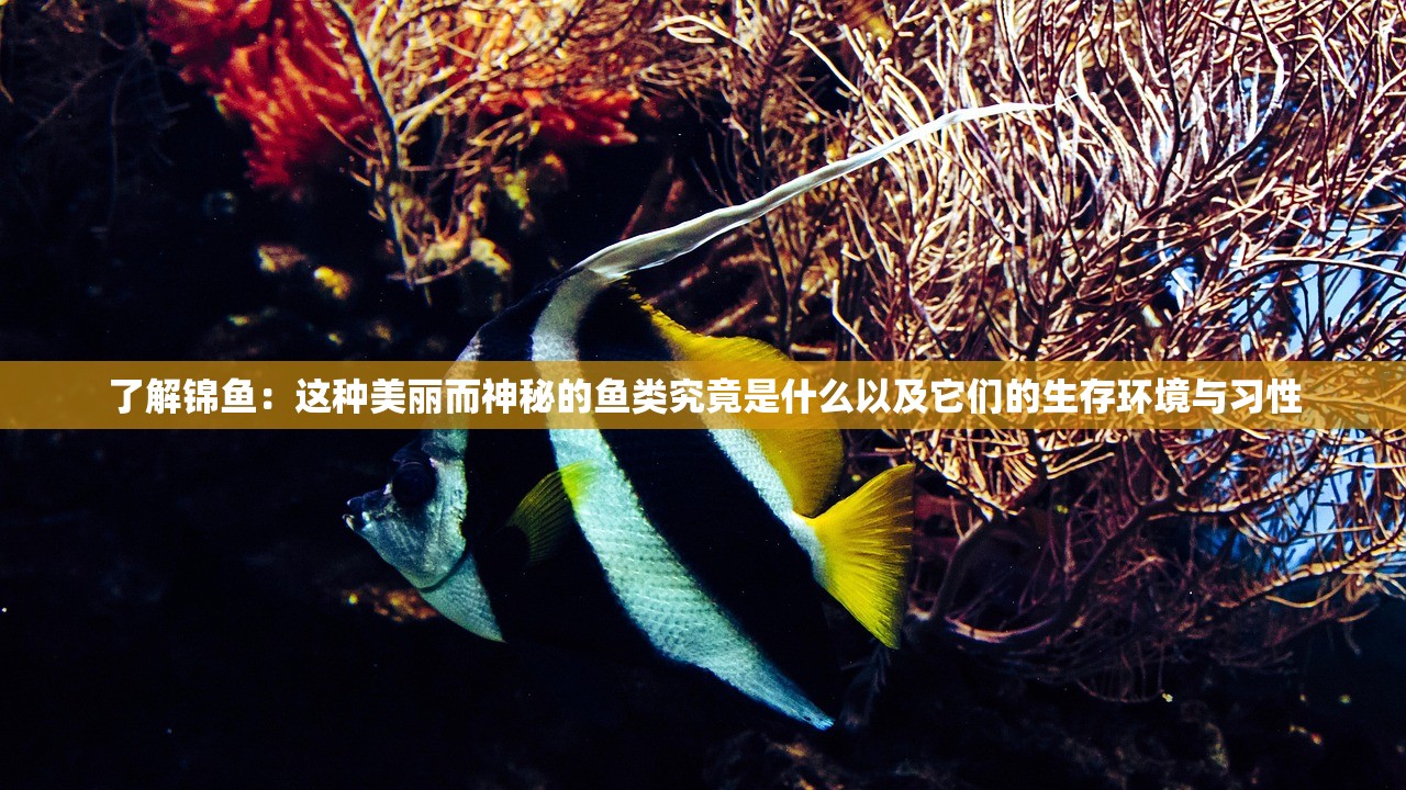 (智夺军旗阵容搭配百度贴吧)智夺军旗阵容，策略与战术的深度解析