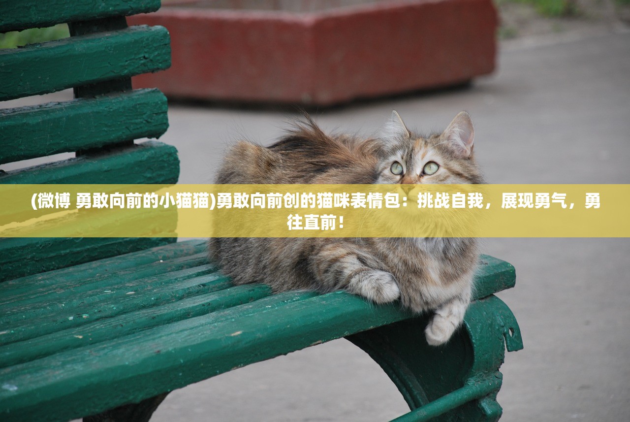 (塔塔星座为什么进不去)塔塔星座为何下架，深度探究其原因