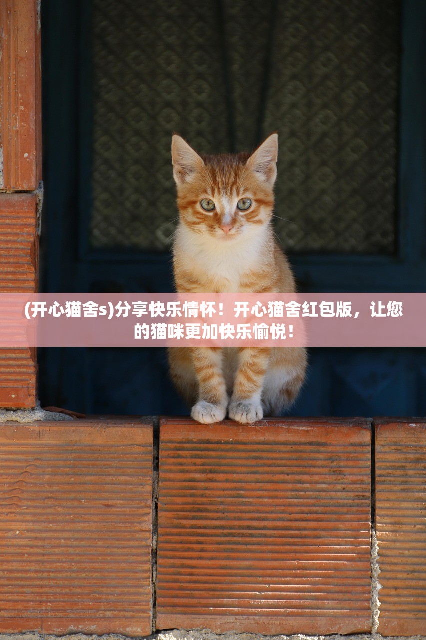 (星露谷工具附魔最佳选择)星露谷游戏中的附魔攻略，提升装备威力与能力的关键步骤