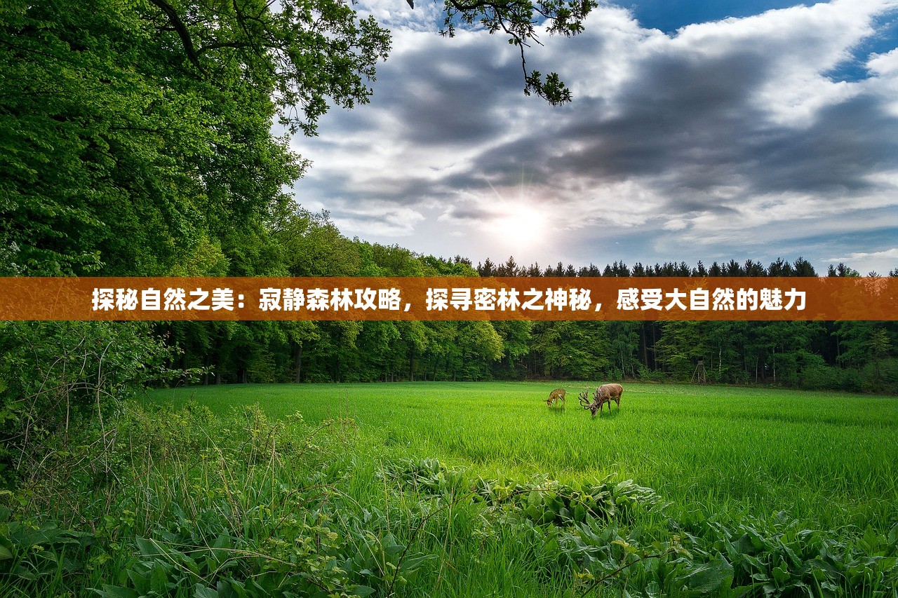 (无尽神域女主是谁)无尽神域人物关系图解析及探讨