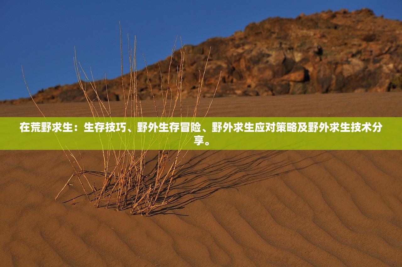 (一拳超人精彩小本本一拳超人)一拳超人精彩小本本，深度解析与探讨
