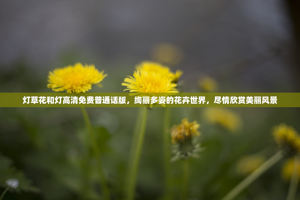 (中至江西麻将开挂神器)中至江西麻将，游戏魅力与文化的交融