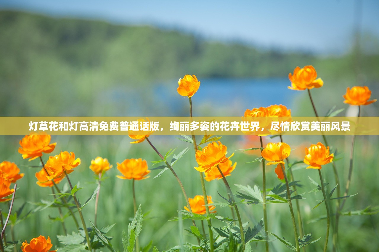 (魔法守护使趣味数学)魔法守护使，神秘力量的守护者