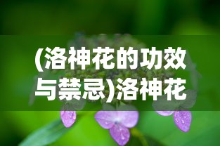 (逐光启航星之子获取攻略)逐光启航，星之子时代的新纪元
