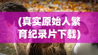 (传世挂机手游攻略)传世挂机手游，探索奇幻世界的无限魅力