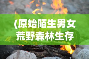 (江南百景图宝箱位置 桃花坞)江南百景图宝箱位置详解及常见问题解答