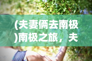 (火影忍者疾风木叶学院传)火影忍者疾风木叶学园传，深度解析与常见问题解答