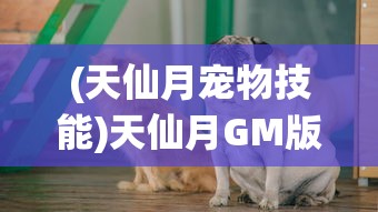 (杀出重围3全支线攻略第二章)杀出重围3全支线攻略详解及常见问题解答