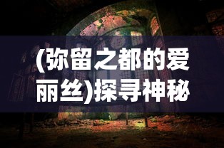 (冒险岛联盟的意志exr宠物有哪些)冒险岛联盟的意志，EXR宠物深度解析