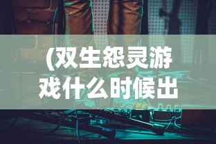 (冒险岛联盟的意志exr宠物有哪些)冒险岛联盟的意志，EXR宠物深度解析