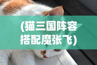 (宿命交织免费阅读)宿命交织，一场多维度的情感与命运探索之旅