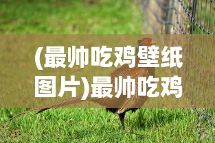(rotate官网)Rotaeno官方网站，探索音乐与创新的交汇点