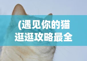 (掘地寻宝)掘地挖宝英雄ID，探寻游戏中的宝藏猎人传奇