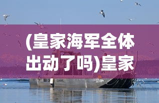 (守卫沙城)沙城保卫战邀请码，背后的故事与探索
