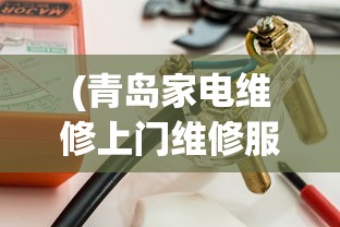 (九州群雄传)九州群将录代金券，游戏内外的价值探索与常见问题解答