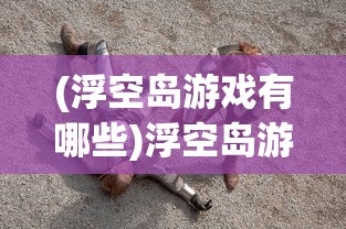 (三国鲁芝)鲁爆三国，深度解析与常见问题解答
