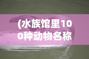 (异兽提升是永久吗)异兽擎天，未来命运如何，会凉吗？