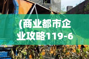 (创业城鸟瞰图带楼号高清)创业城攻略，打造成功创业之路的全方位指南