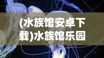 (暗黑领主vip免费版手游下载)暗黑领主VIP免费版手游，探索神秘世界的免费之旅