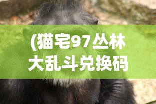 (足霸天下曹金宝是谁的孩子)足霸天下之下，曹金宝的身份之谜