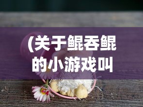 (镜花缘rpg)镜花缘游戏全面攻略，从入门到精通