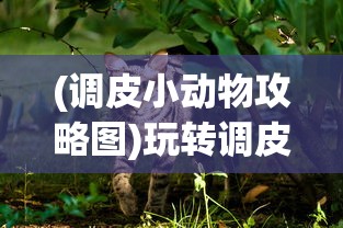 (《武林小盟主》免费阅读)武林小盟主，古风武侠新篇章的引领之作