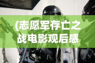 (完美小姐也不是我的头衔)完美小姐又出惊喜，结局怪手揭秘与深度分析