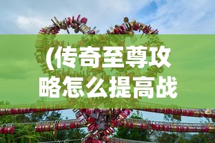 (冲刺萌龙宠物攻略大全)冲刺萌龙宠物攻略，全方位指南助你成为萌龙大师