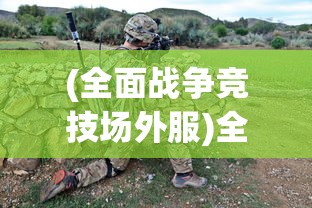 (工人物语6战役最后一关)工人物语6战役攻略大全及常见问题解答（FAQ）