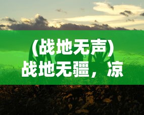 (三国之星海风云2兵种介绍)三国之星海风云2，战略与传奇的延续