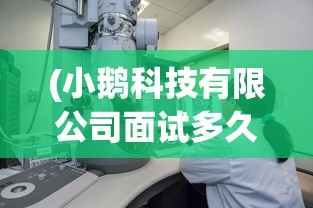 (胜斗西游官网)胜斗西游APP，游戏新纪元的多维体验与探索
