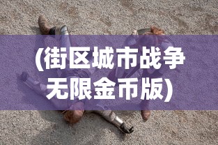 (我香肠派对先行服)香肠派对后行服下载指南及常见问题解答