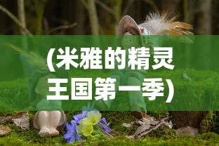 (微微三国开服表)微微三国，一款独具魅力的策略游戏