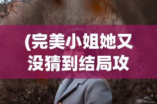 (圣斗士天界篇第二部国语在线观看)圣斗士天界篇第二部，深度分析与展望